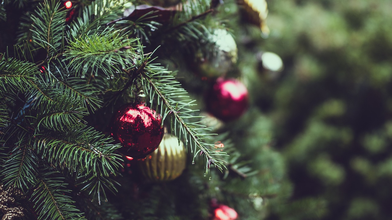 christmas, tree, lights-2595975.jpg