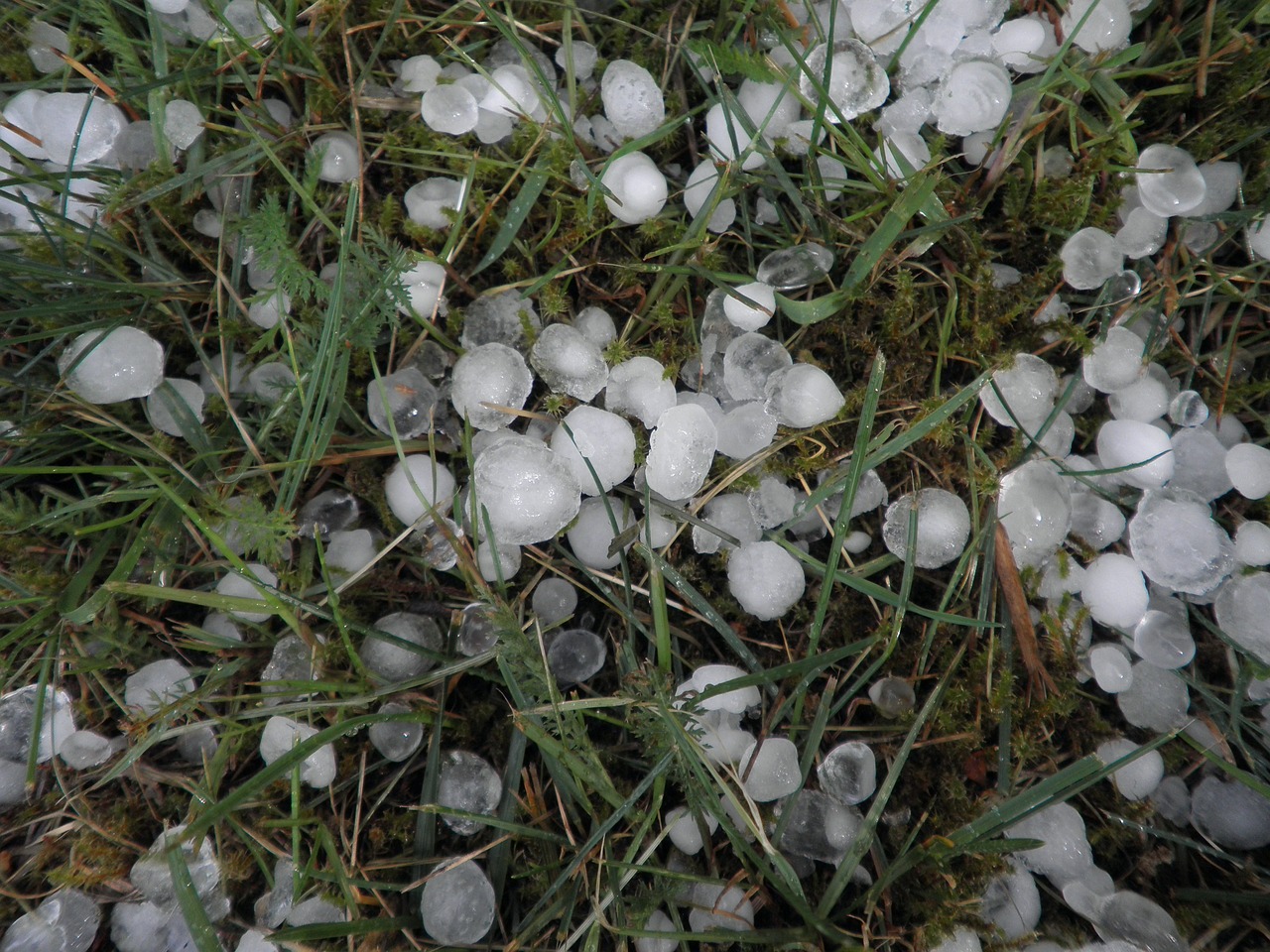 hail, hailstones, weather-379270.jpg